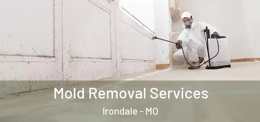 Mold Removal Services Irondale - MO