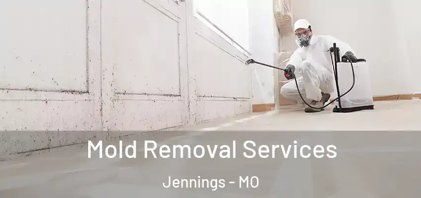  Mold Removal Services Jennings - MO