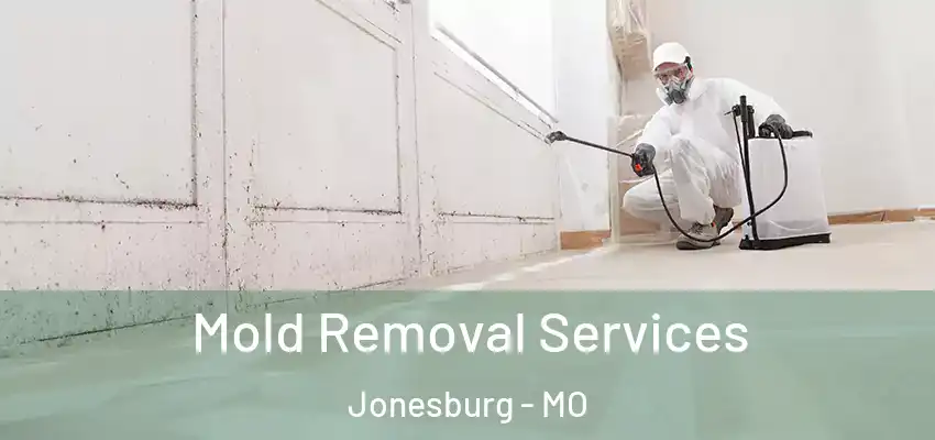  Mold Removal Services Jonesburg - MO