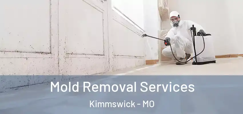  Mold Removal Services Kimmswick - MO