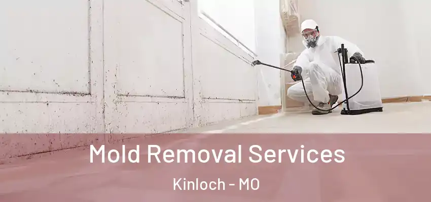 Mold Removal Services Kinloch - MO