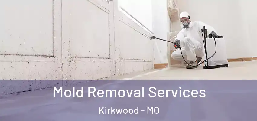  Mold Removal Services Kirkwood - MO