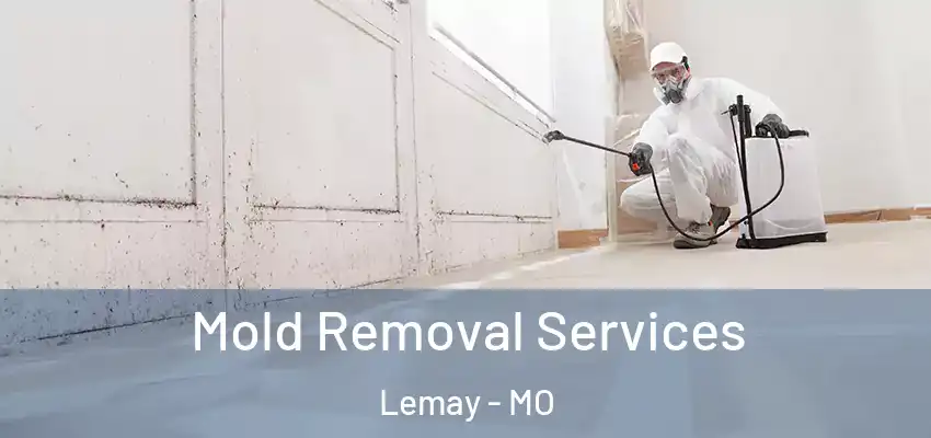  Mold Removal Services Lemay - MO