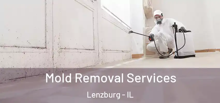  Mold Removal Services Lenzburg - IL