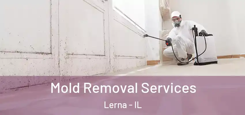  Mold Removal Services Lerna - IL
