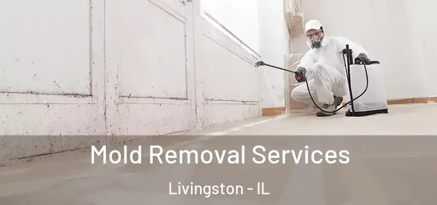  Mold Removal Services Livingston - IL