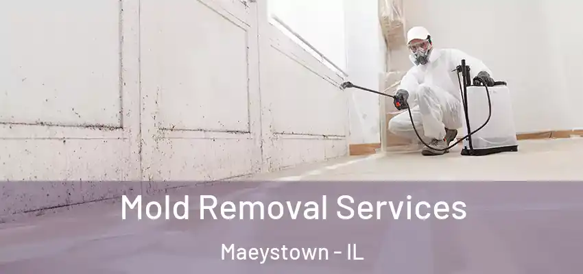  Mold Removal Services Maeystown - IL