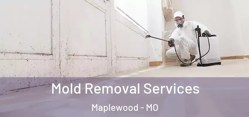 Mold Removal Services Maplewood - MO