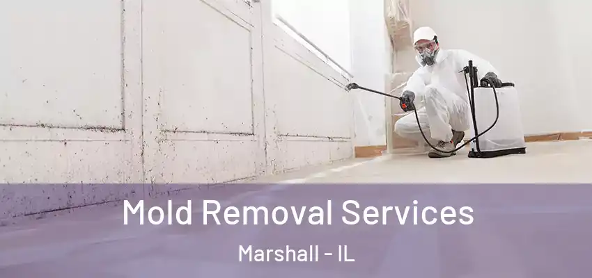  Mold Removal Services Marshall - IL