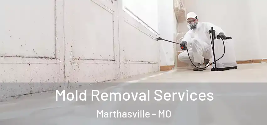  Mold Removal Services Marthasville - MO