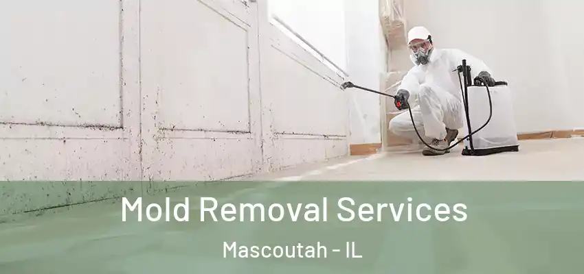  Mold Removal Services Mascoutah - IL