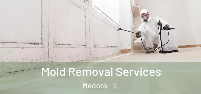  Mold Removal Services Medora - IL