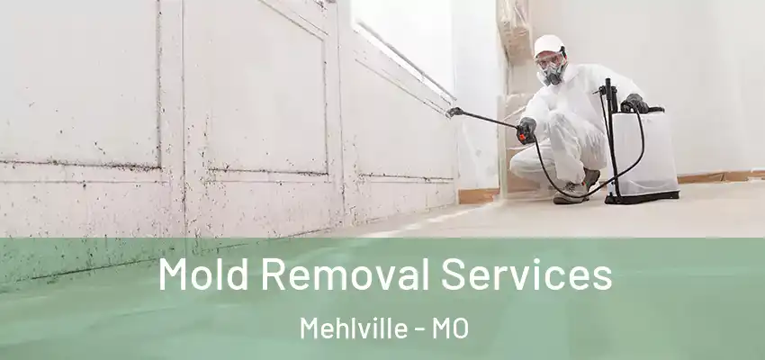  Mold Removal Services Mehlville - MO