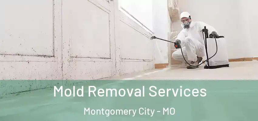  Mold Removal Services Montgomery City - MO