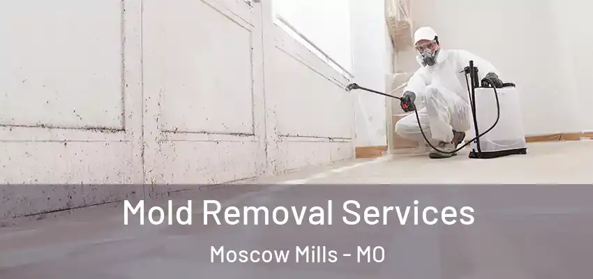  Mold Removal Services Moscow Mills - MO