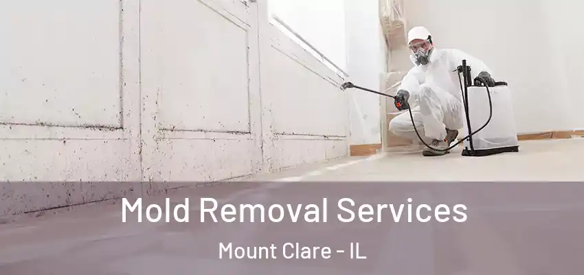  Mold Removal Services Mount Clare - IL