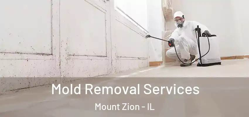  Mold Removal Services Mount Zion - IL