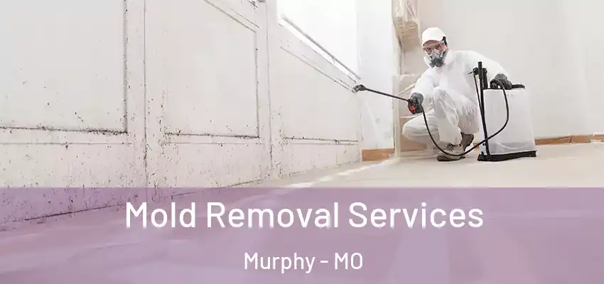 Mold Removal Services Murphy - MO