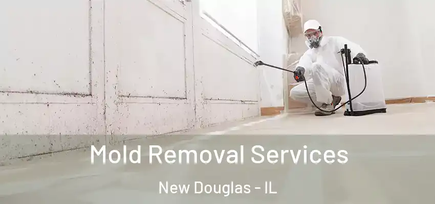  Mold Removal Services New Douglas - IL