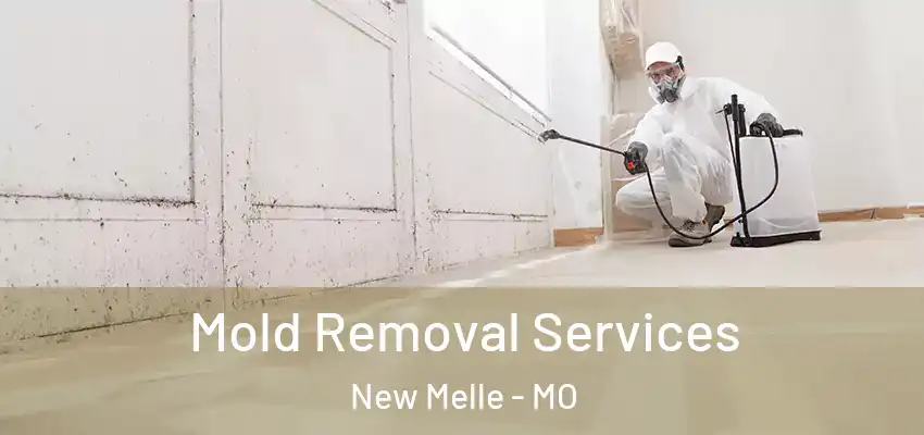  Mold Removal Services New Melle - MO