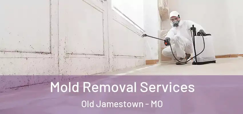  Mold Removal Services Old Jamestown - MO