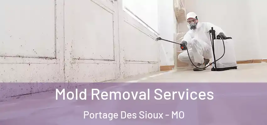  Mold Removal Services Portage Des Sioux - MO