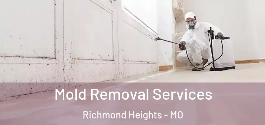  Mold Removal Services Richmond Heights - MO