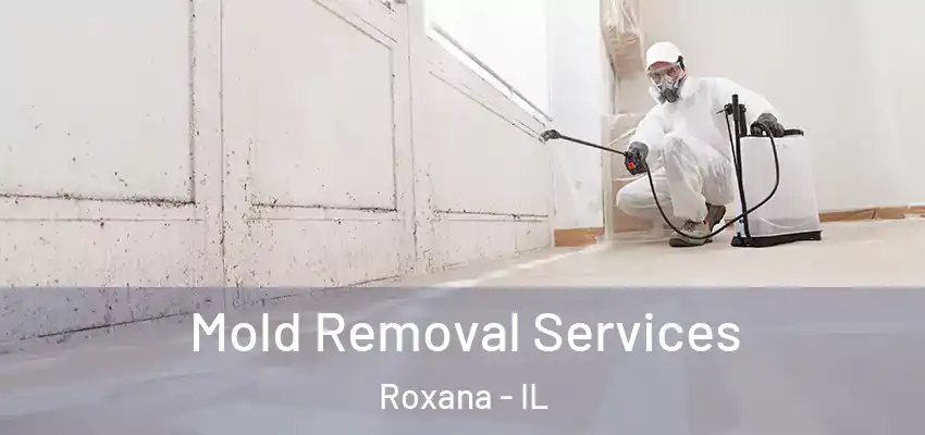  Mold Removal Services Roxana - IL