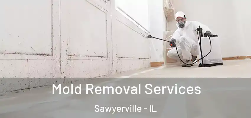  Mold Removal Services Sawyerville - IL