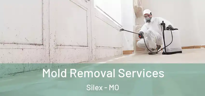Mold Removal Services Silex - MO