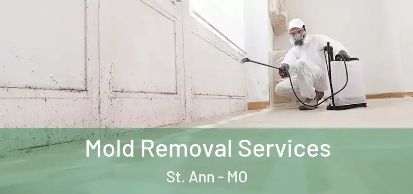 Mold Removal Services St. Ann - MO