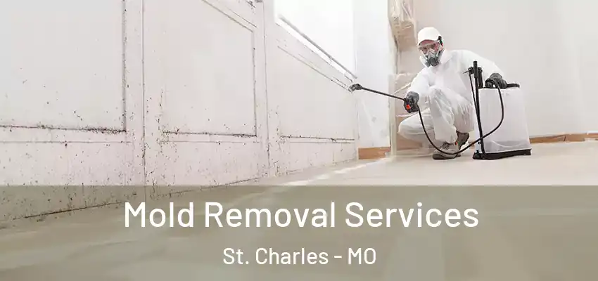 Mold Removal Services St. Charles - MO