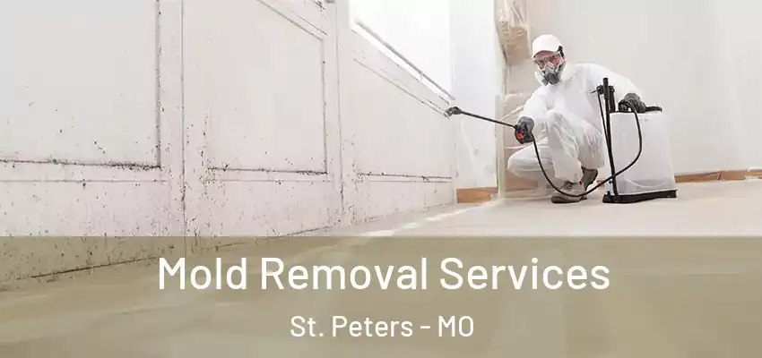  Mold Removal Services St. Peters - MO