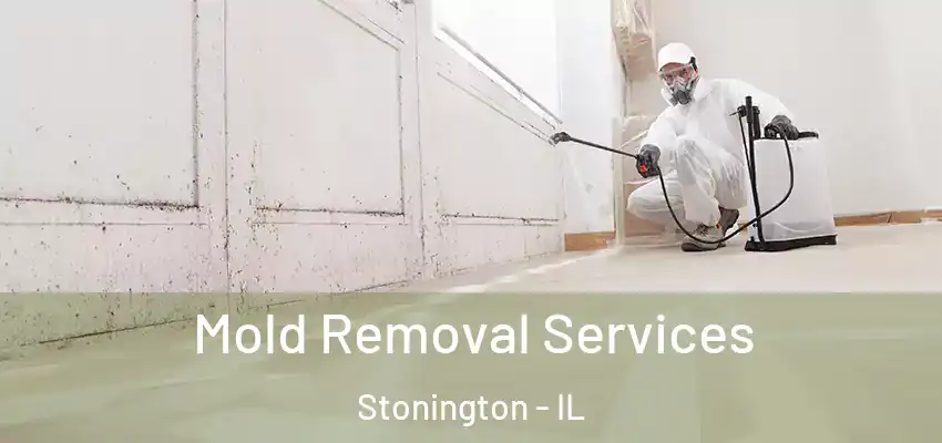  Mold Removal Services Stonington - IL