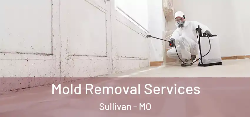 Mold Removal Services Sullivan - MO