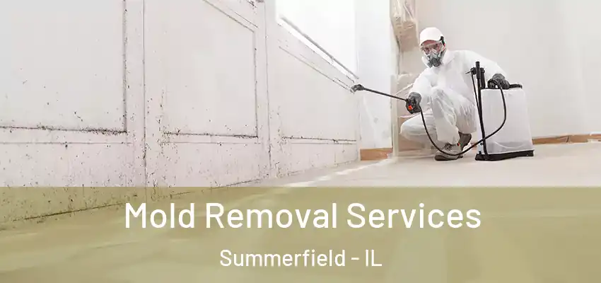  Mold Removal Services Summerfield - IL