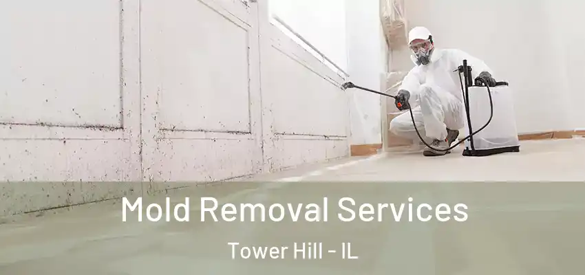 Mold Removal Services Tower Hill - IL