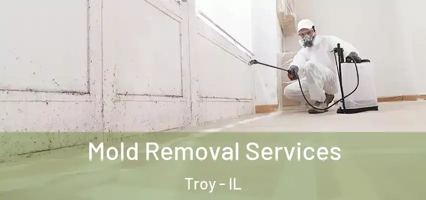  Mold Removal Services Troy - IL
