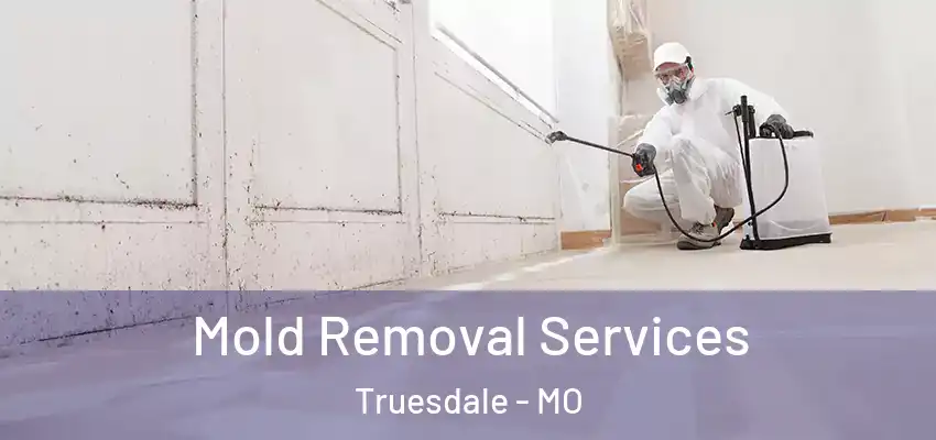 Mold Removal Services Truesdale - MO