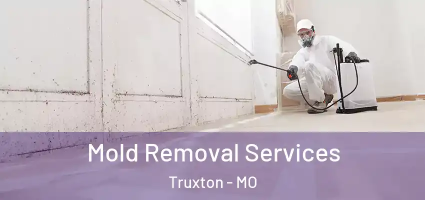  Mold Removal Services Truxton - MO