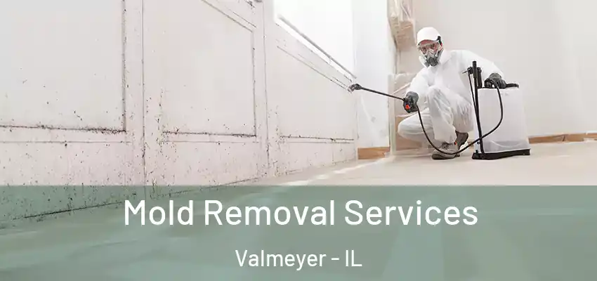  Mold Removal Services Valmeyer - IL