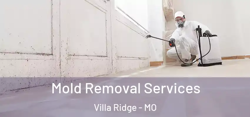  Mold Removal Services Villa Ridge - MO