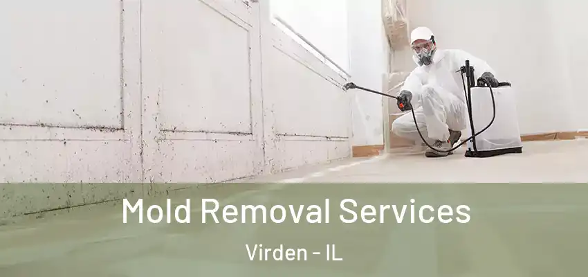 Mold Removal Services Virden - IL