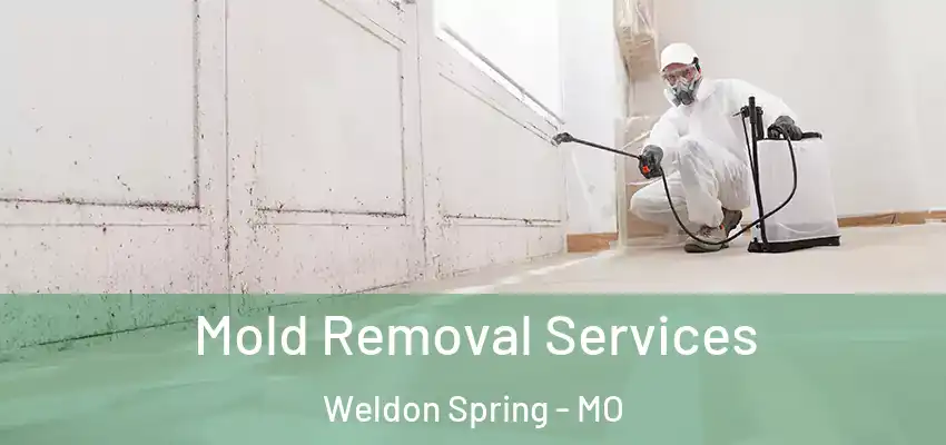 Mold Removal Services Weldon Spring - MO