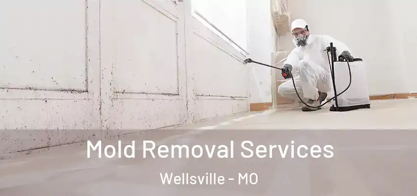  Mold Removal Services Wellsville - MO