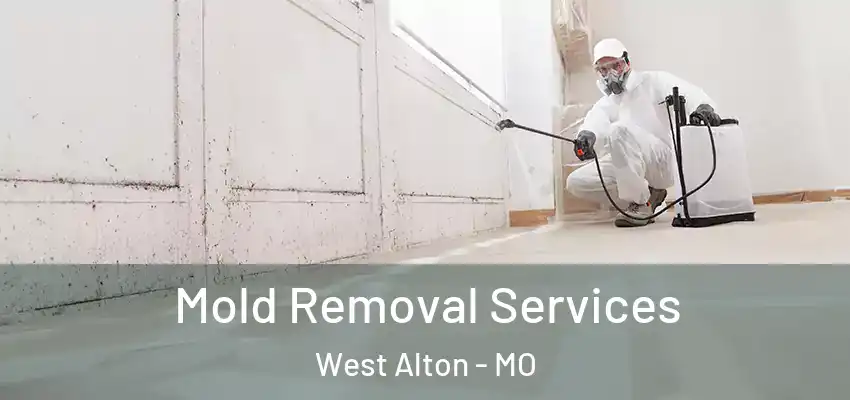  Mold Removal Services West Alton - MO