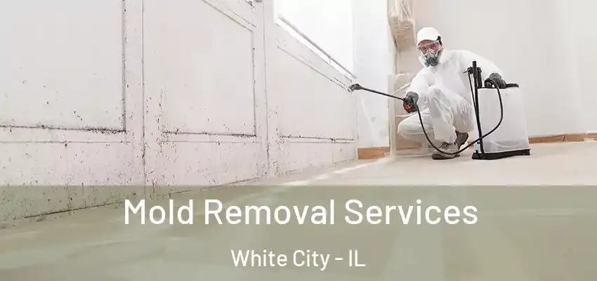  Mold Removal Services White City - IL