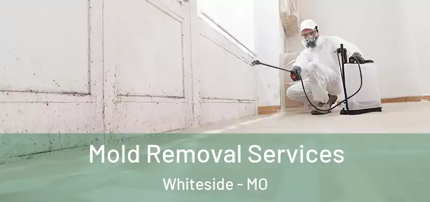 Mold Removal Services Whiteside - MO