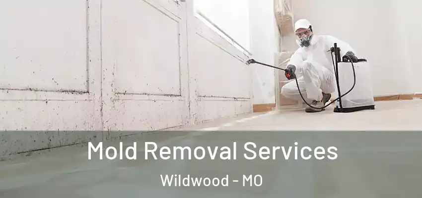  Mold Removal Services Wildwood - MO