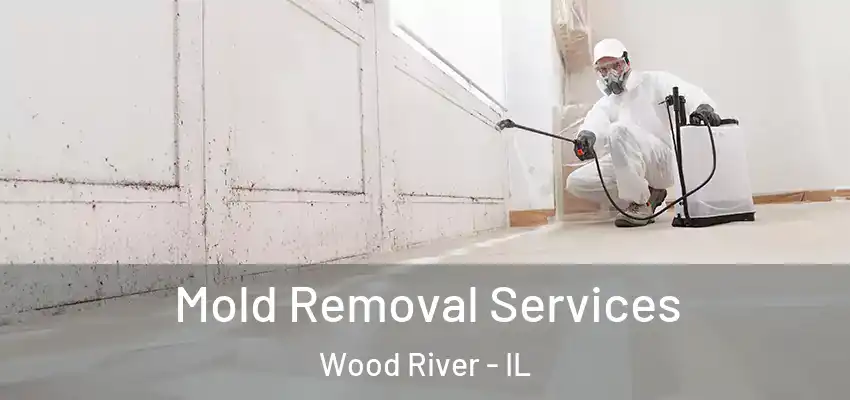  Mold Removal Services Wood River - IL